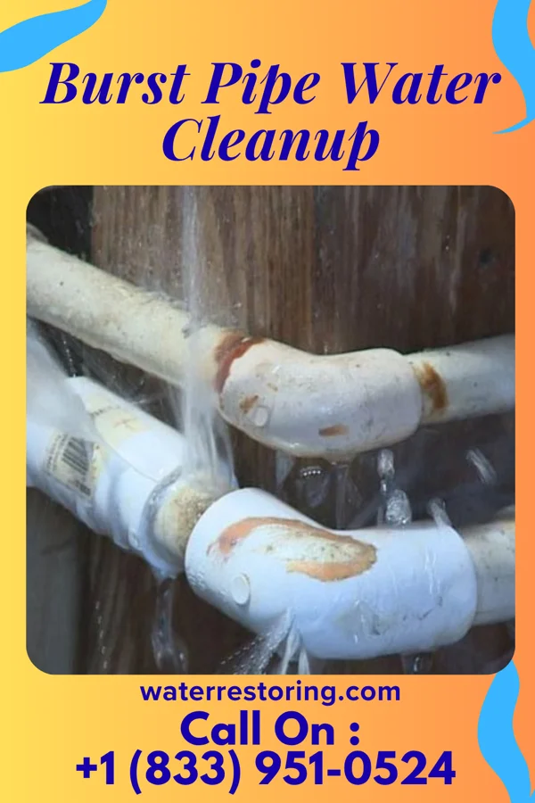Burst Pipe Water Cleanup in Chillicothe, IA