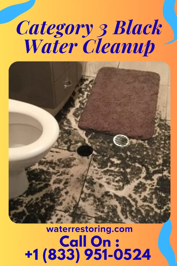 Category 3 Black Water Cleanup in Chillicothe, IA