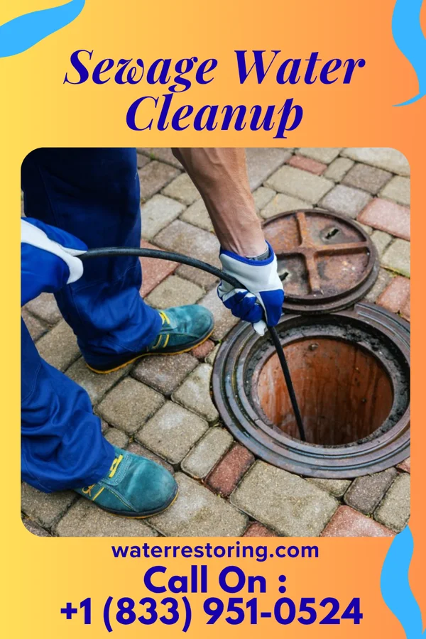 Sewage Water Cleanup in Chillicothe, IA