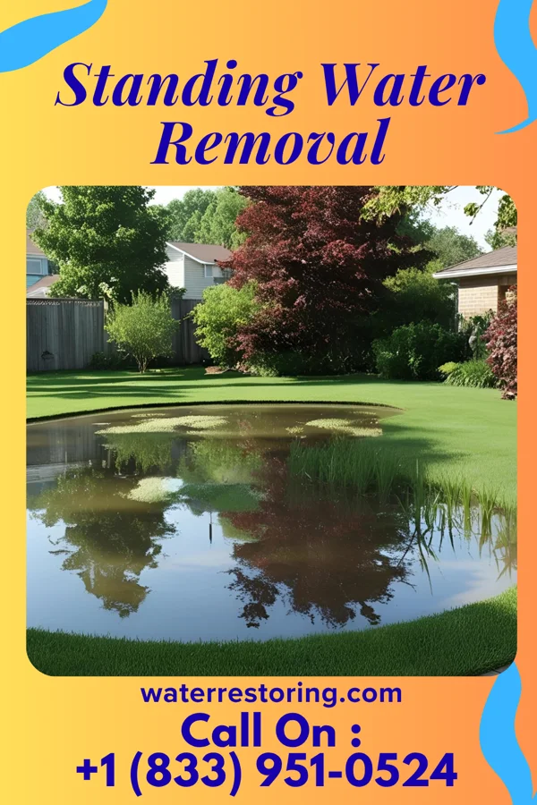 Standing Water Removal in Chillicothe, IA